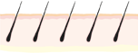 1. �@�ʏ�̏��