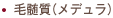 毛髄質（メデュラ）