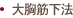 大胸筋下法
