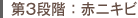 第3段階:赤ニキビ