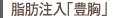 脂肪注入「豊胸」