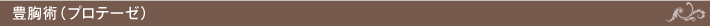 豊胸術（プロテーゼ）