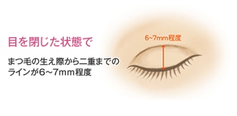 目を閉じた状態でまつ毛の生え際から二重までのラインが6～7mm程度