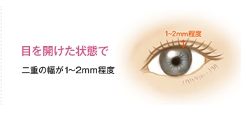 目を開けた状態で二重の幅が1～2ｍｍ程度 