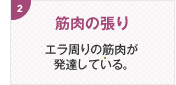 筋肉の張り エラ周りの筋肉が発達している。