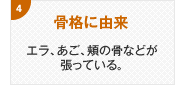 骨格に由来 エラ、あご、頬の骨などが張っている。