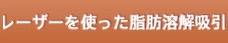 リポレーザー