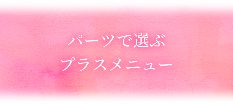 パーツで選ぶプラスメニュー