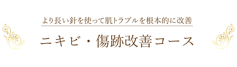 より長い針を使って肌トラブルを根本的に改善「ニキビ・傷跡改善コース」