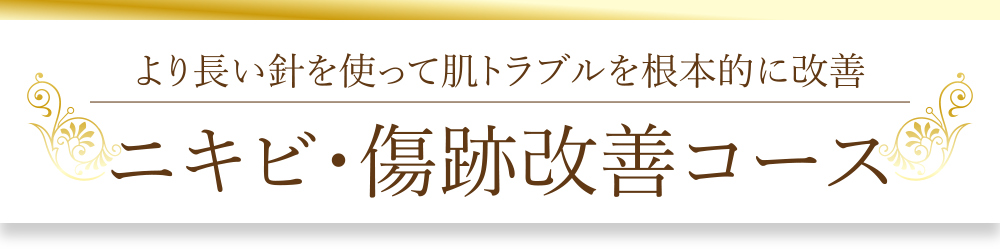 より長い針を使って肌トラブルを根本的に改善「ニキビ・傷跡改善コース」