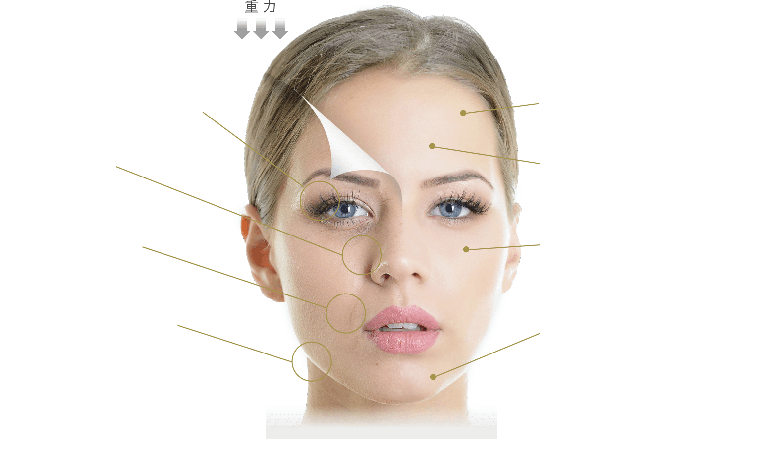 老け見えポイント