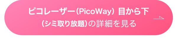 ピコレーザー（PicWay）の詳細を見る