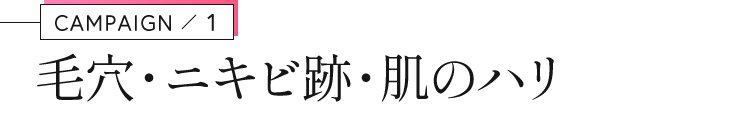 CAMPAIGN1/スキン