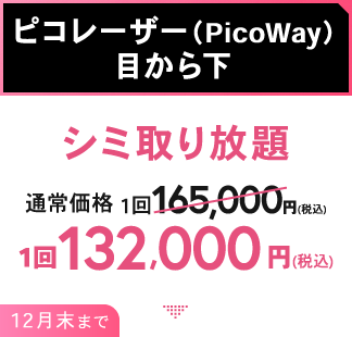 ピコレーザー（PicWay）目から下/シミ取り放題 1回132,000円（税込）