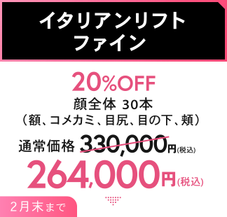 イタリアンリフトファイン 20%OFF 顔全体 30本（額、コメカミ、目尻、目の下、頬） 264,000円（税込）2月末まで