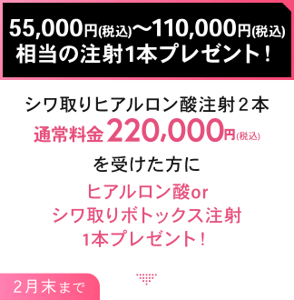 55,000円(税込)～110,000円(税込)相当の注射1本プレゼント！シワ取りヒアルロン酸注射２本 通常料金 220,000円(税込) を受けた方にヒアルロン酸orシワ取りボトックス注射1本プレゼント！2月末まで
