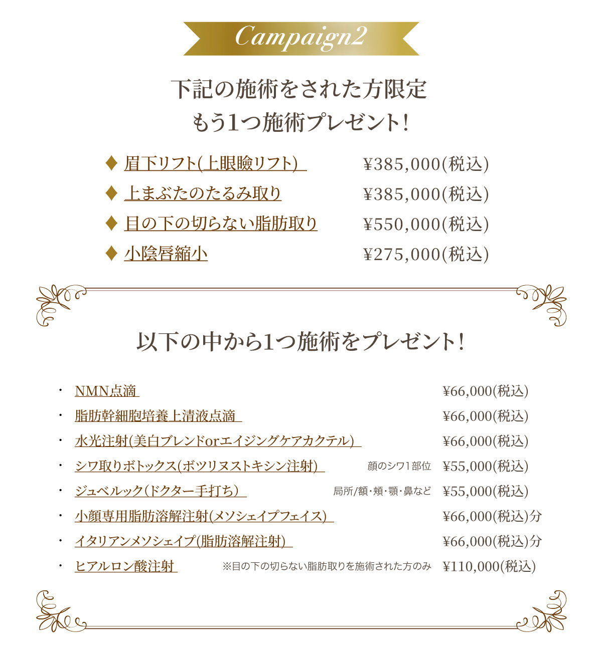 下記の施術をされた方限定もう１つ施術プレゼント！／対象施術：眉下リフト(上眼瞼リフト)、上まぶたのたるみ取り、目の下の切らない脂肪取り、小陰唇縮小／以下の中から1つ施術をプレゼント！NMN点滴、脂肪幹細胞培養上清液点滴、水光注射(美白ブレンドorエイジングケアカクテル)、シワ取りボトックス(ボツリヌストキシン注射)、ジュベルック（ドクター手打ち）、小顔専用脂肪溶解注射(メソシェイプフェイス)、イタリアンメソシェイプ(脂肪溶解注射)、ヒアルロン酸注射(※目の下の切らない脂肪取りを施術された方のみ)