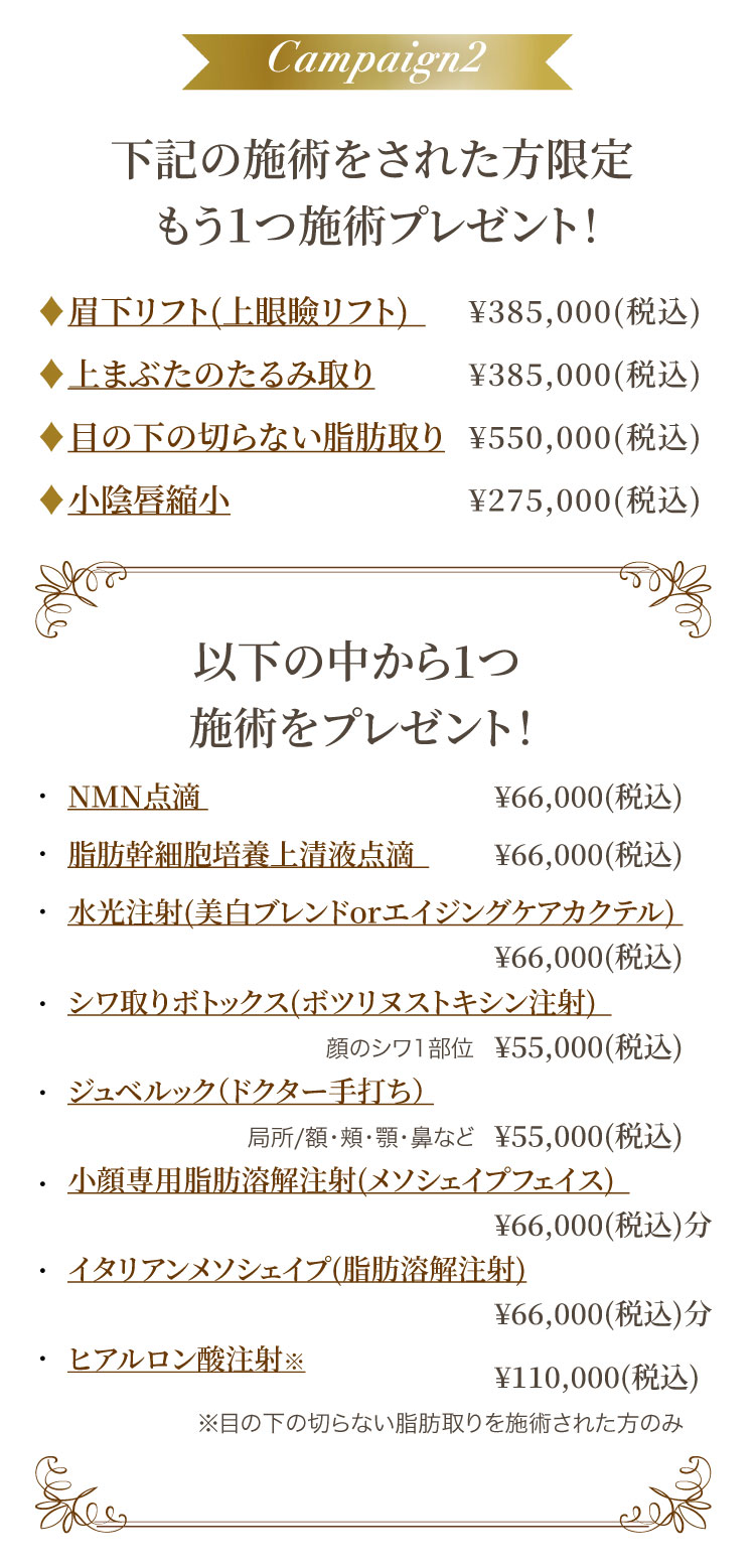 下記の施術をされた方限定もう１つ施術プレゼント！／対象施術：眉下リフト(上眼瞼リフト)、上まぶたのたるみ取り、目の下の切らない脂肪取り、小陰唇縮小／以下の中から1つ施術をプレゼント！NMN点滴、脂肪幹細胞培養上清液点滴、水光注射(美白ブレンドorエイジングケアカクテル)、シワ取りボトックス(ボツリヌストキシン注射)、ジュベルック（ドクター手打ち）、小顔専用脂肪溶解注射(メソシェイプフェイス)、イタリアンメソシェイプ(脂肪溶解注射)、ヒアルロン酸注射(※目の下の切らない脂肪取りを施術された方のみ)
