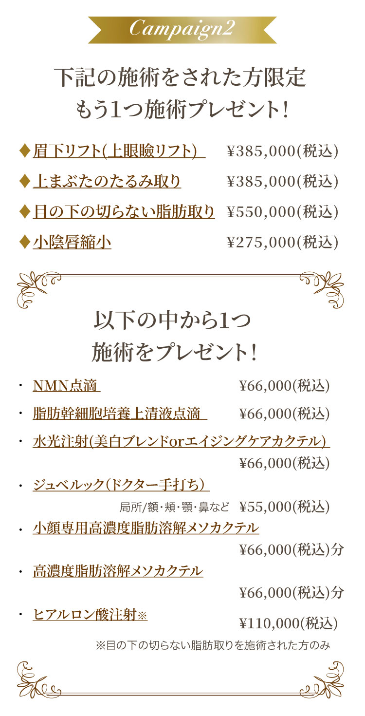 下記の施術をされた方限定もう１つ施術プレゼント！／対象施術：眉下リフト(上眼瞼リフト)、上まぶたのたるみ取り、目の下の切らない脂肪取り、小陰唇縮小／以下の中から1つ施術をプレゼント！NMN点滴、脂肪幹細胞培養上清液点滴、水光注射(美白ブレンドorエイジングケアカクテル)、ジュベルック（ドクター手打ち）、小顔専用高濃度脂肪溶解メソカクテル、高濃度脂肪溶解メソカクテル、ヒアルロン酸注射（※目の下の切らない脂肪取りを施術された方のみ）