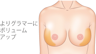 よりグラマーにボリュームアップ!