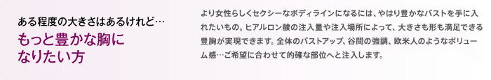 ある程度の大きさはあるけれど… もっと豊かな胸になりたい方 より女性らしくセクシーなボディラインになるには、やはり豊かなバストを手に入れたいもの。マンマリーヒアル<sup>®</sup>（プチ豊胸術・ヒアルロン酸豊胸術）の注入量や注入場所によって、大きさも形も満足できる豊胸が実現できます。全体のバストアップ、谷間の強調、欧米人のようなボリューム感…ご希望に合わせて的確な部位へと注入し、理想のバストへ。胸元を強調したファッションも自信を持って着こなせる、大満足の施術をお届けします。