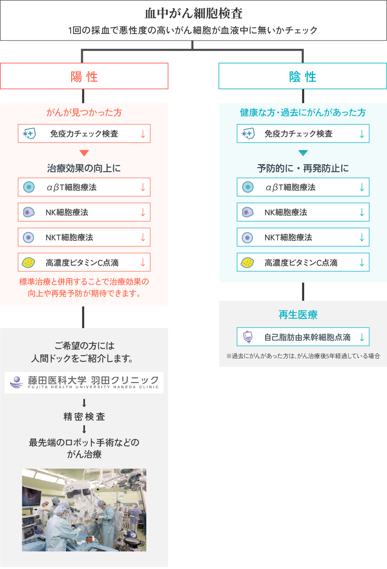 血中がん細胞検査 1回の採血で悪性度の高いがん細胞が血液中に無いかチェック／【陽性（がんが見つかった場合）】人間ドックを紹介します「藤田医科大学 羽田クリニック」→精密検査→最先端のロボット手術などのがん治療／【陰性（がんが見つからなかった場合）】健康な方・過去にがんがあった方「免疫力チェック検査」→予防的に・再発防止に「αβT細胞療法」「NK細胞療法」「NKT細胞療法」「高濃度ビタミンC点滴」→再生医療「自己脂肪由来幹細胞点滴」※過去にがんがあった方は、がん治療後5年経過している場合