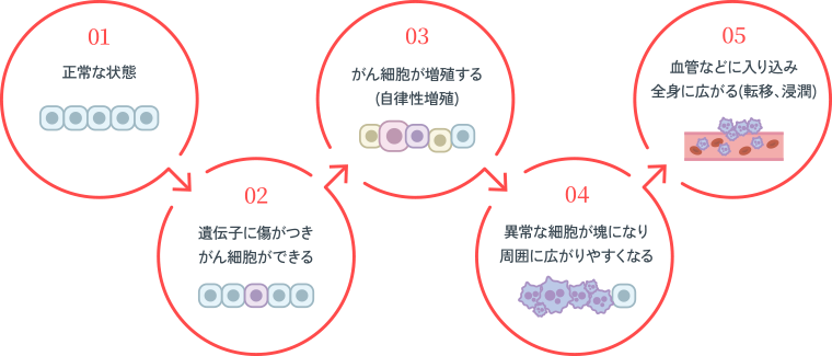 1.正常な状態→2.遺伝子に傷がつきがん細胞ができる→3.がん細胞が増殖する(自律性増殖)→4.異常な細胞が塊になり周囲に広がりやすくなる→5.血管などに入り込み全身に広がる(転移、浸潤)