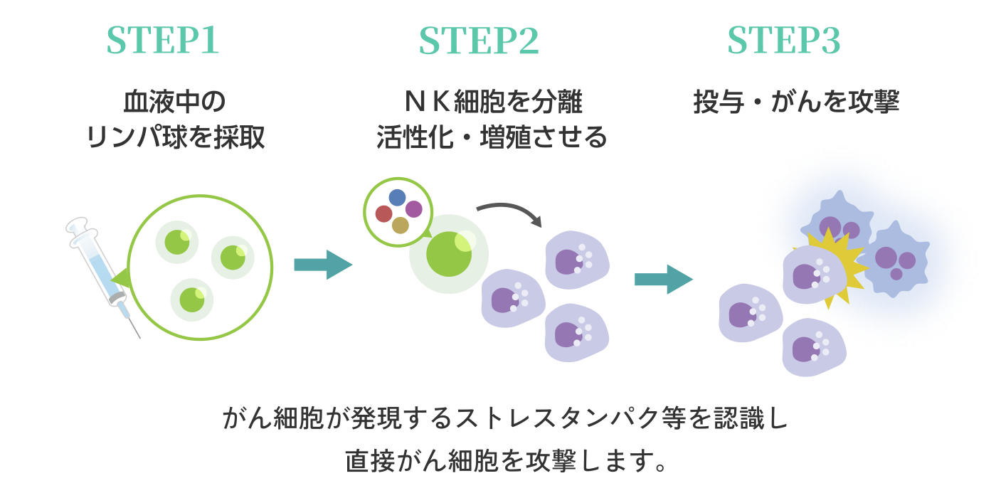 [STEP1]血液中のリンパ球を採取→[STEP2]NK細胞を分離活性化・増殖させる→[STEP3]投与・がんを攻撃／がん細胞が発現するストレスタンパク等を認識し直接がん細胞を攻撃します。
