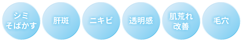 シミ・そばかす／肝斑／ニキビ／透明感／肌荒れ・改善／毛穴