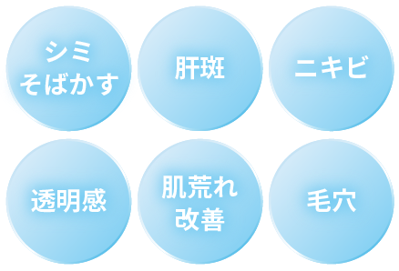 シミ・そばかす／肝斑／ニキビ／透明感／肌荒れ・改善／毛穴