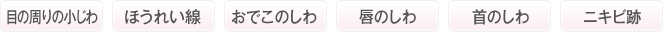 目の周りの小じわ　ほうれい線　おでこのしわ　唇のしわ　首のしわ　ニキビ跡