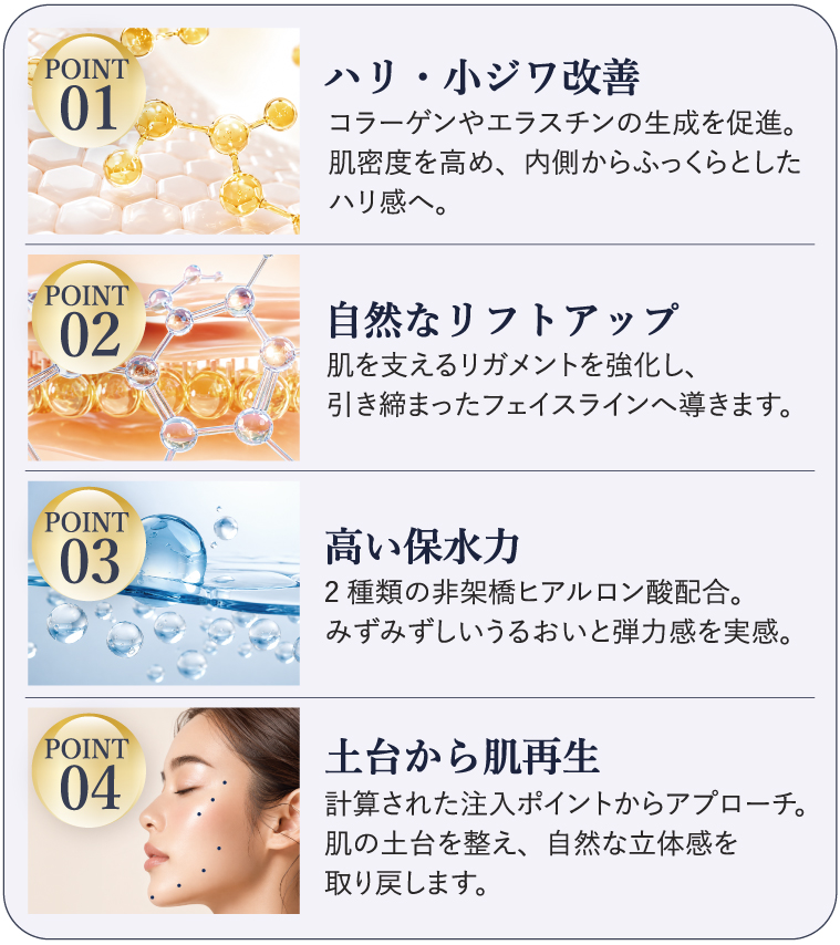 POINT01 ハリ・小ジワ改善 コラーゲンやエラスチンの生成を促進。肌密度を高め、内側からふっくらとしたハリ感へ。／POINT02 自然なリフトアップ 肌を支えるリガメントを強化し、引き締まったフェイスラインへ導きます。／POINT03 高い保水力 2種類の非架橋ヒアルロン酸配合。みずみずしいうるおいと弾力感を実感。／POINT04 土台から肌再生 計算された注入ポイントからアプローチ。肌の土台を整え、自然な立体感を取り戻します。