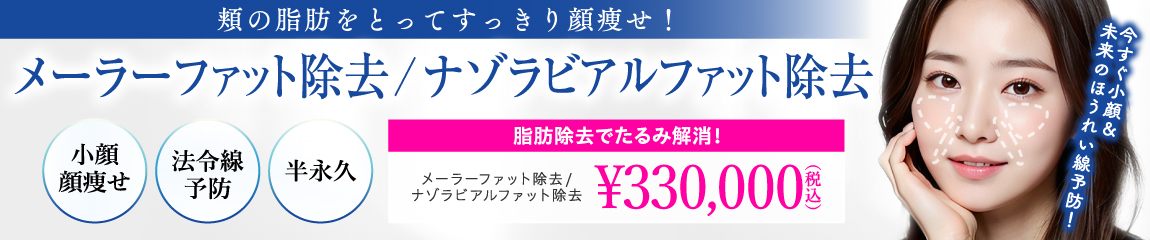メーラーファット除去/ナゾラビアルファット除去