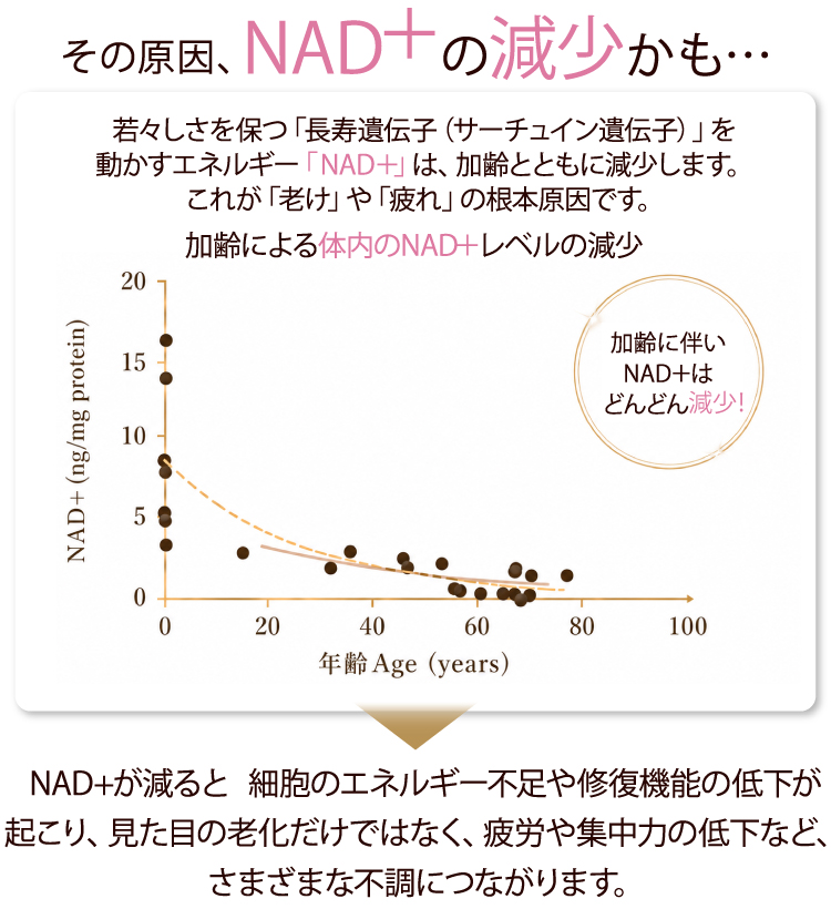 その原因、 NAD＋の減少かも…／若々しさを保つ「長寿遺伝子（サーチュイン遺伝子）」を動かすエネルギー「NAD＋」は、加齢とともに減少します。これが「老け」や「疲れ」の根本原因です。／加齢による体内のNAD＋レベルの減少／加齢に伴いNAD＋はどんどん減少！／NAD+が減ると、細胞のエネルギー不足や修復機能の低下が起こり、見た目の老化だけではなく、疲労や集中力の低下など、さまざまな不調につながります。