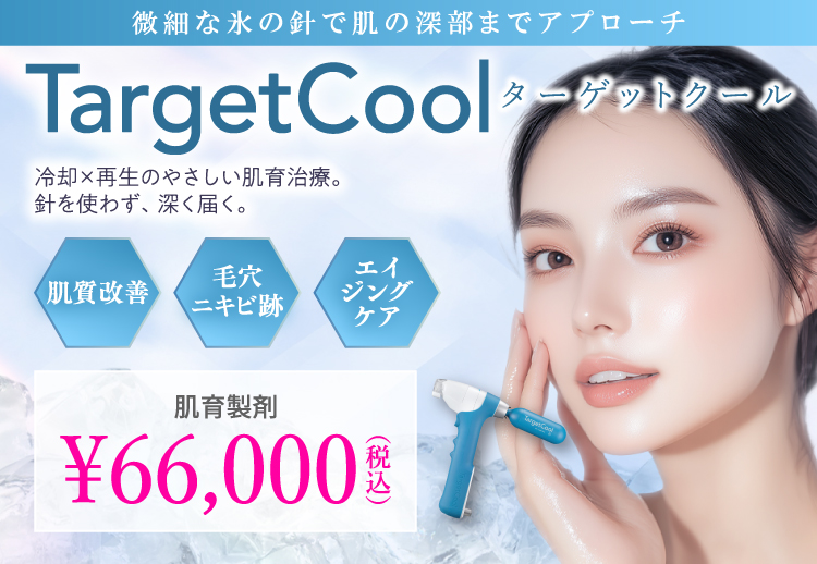 ターゲットクール