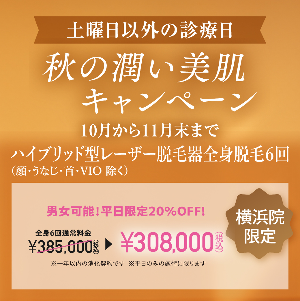 高級 レーザー脱毛 医療脱毛│目黒区の「洗足整形・形成外科」