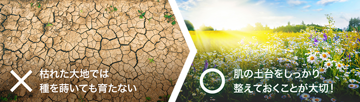 枯れた大地では種を蒔いても育たない／肌の土台をしっかり整えておくことが大切！