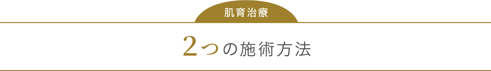 肌育治療 ２つの施術方法