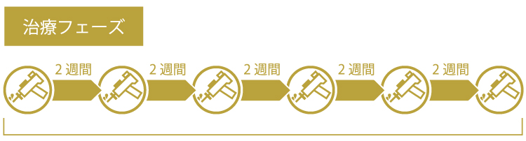 治療フェーズ