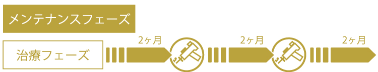 メンテナンスフェーズ