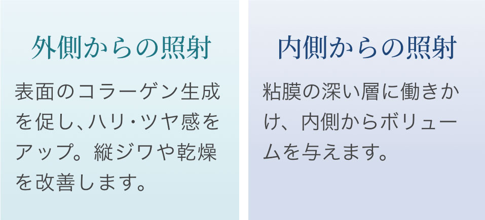 外側からの照射：表面のコラーゲン生成を促し､ハリ･ツヤ感をアップ。縦ジワや乾燥を改善します。/内側からの照射：粘膜の深い層に働きかけ、内側からボリュームを与えます。