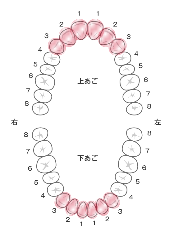 Передние и задние зубы какие. Нумерация зубов в стоматологии схема. Нумерация детских зубов в стоматологии схема. Нумерация зубов в стоматологии схема у взрослых. Схема зубов человека с нумерацией стоматологии.