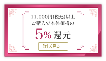 11,000円（税込）以上ご購入で本体価格の5％還元