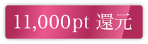 11,000pt還元