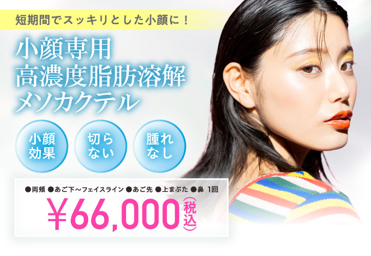 短期間でスッキリとした小顔に！／小顔専用高濃度脂肪溶解メソカクテル／小顔効果、切らない、腫れなし／両頬・あご下～フェイスライン・あご先・上まぶた・鼻 1回 66,000円（税込）