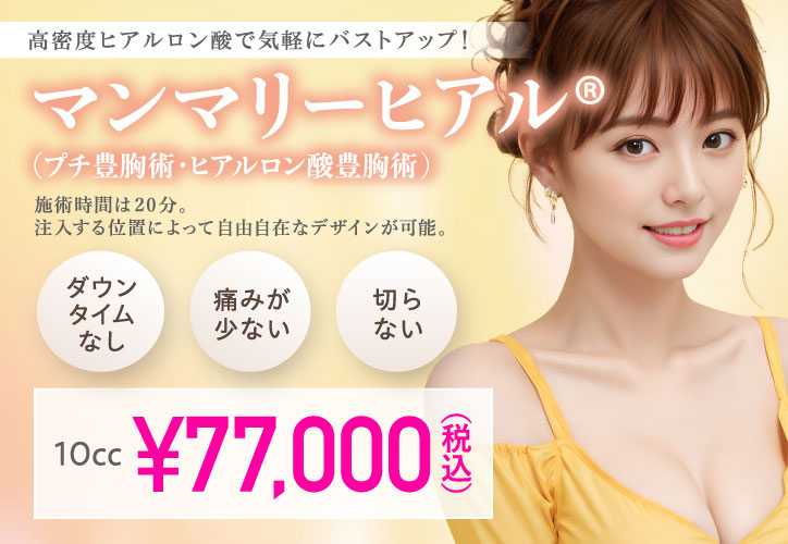 高密度ヒアルロン酸で気軽にバストアップ！／マンマリーヒアル®（プチ豊胸術・ヒアルロン酸豊胸術）／ダウンタイムなし、痛みが少ない、切らない／10㏄ 77,000円（税込）