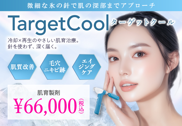 微細な氷の針で肌の深部までアプローチ／ターゲットクール／冷却×再生のやさしい肌育治療。針を使わず、深く届く。／肌質改善・毛穴、ニキビ痕・エイジングケア／肌育製剤 ターゲットクール　66,000円（税込）