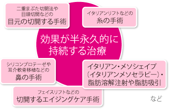 二重まぶた切開法や目頭切開などの目元の切開する手術 シリコンプロテーゼや耳介軟骨移植などの鼻の手術 イタリアンリフトなどの糸の手術 フェイスリフトなどの切開するエイジングケア手術イタリアン・メソシェイプ（イタリアンメソセラピー）・脂肪溶解注射や脂肪吸引　など