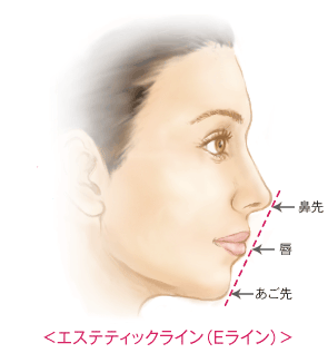 エステティックライン（Eライン）