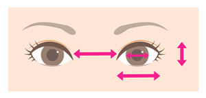 理想的な目と目の間隔 比率は 目の横幅 縦幅は 黒目の大きさ 見える面積の割合は 高須クリニック